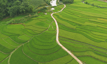 National flag route winding through rice terraces draws visitors