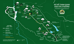 A detailed guide to tourist routes in Cuc Phuong national park