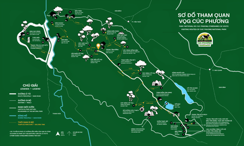 A detailed guide to tourist routes in Cuc Phuong national park