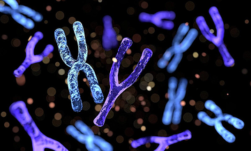 Man discovers he has female chromosomes after infertility check