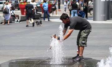 Sweltering summer in Ontario leaves residents struggling with heat