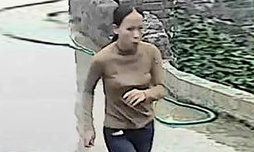 Woman missing after snail hunting in Ninh Binh