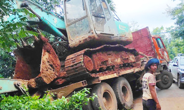 Truck kills 18 cows