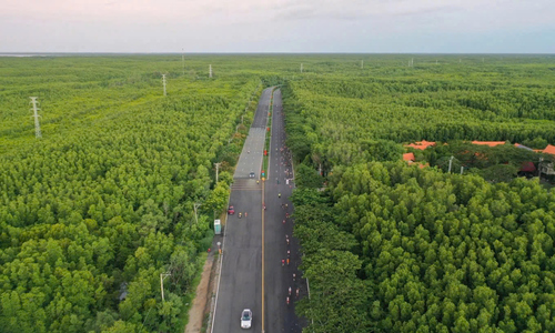 Proposed Can Gio metro line to reach speeds of 350 km/h
