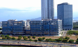Da Nang establishes advisory council for international financial center