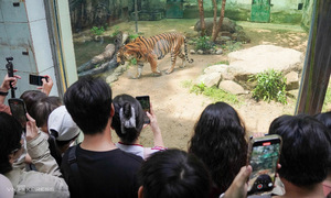 Ho Chi Minh City attractions offer night tours for National Day