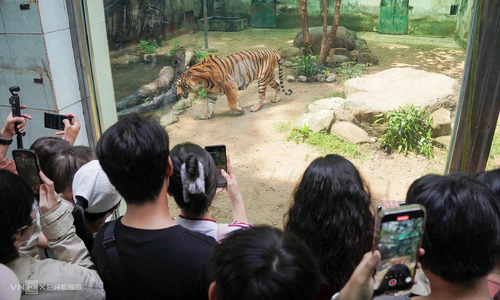 Ho Chi Minh City attractions offer night tours for National Day
