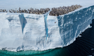 Antarctic ice melt puts climate at risk of being 'irrecoverable'