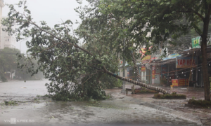 Missed vaccination due to Typhoon Kajiki: What to do?