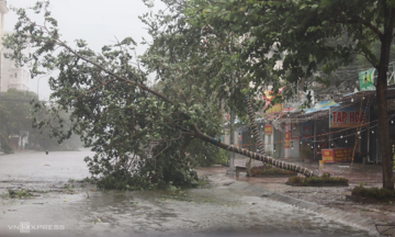 Missed vaccination due to Typhoon Kajiki: What to do?