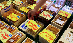 Sea urchin prices soar to over 100 USD in Japan due to climate change