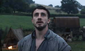 Shakespeare's life on the big screen