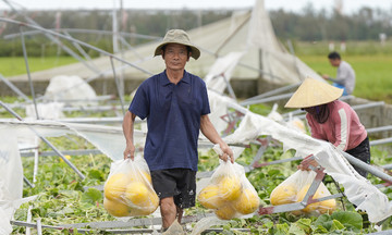 Devastation after Typhoon Kajiki