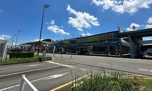 Japanese airport struggles after manga's earthquake prediction