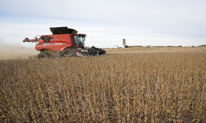 Trump's tariffs bolster US agricultural exports