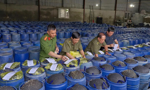 Two-year sentence for chemically treated bean sprouts
