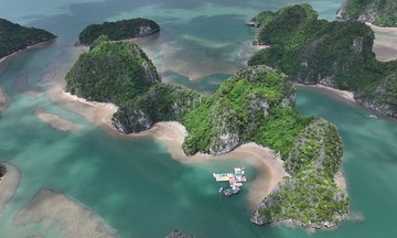 Billionaire to visit Ha Long Bay for National Day holiday
