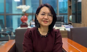 Food safety administration head Tran Viet Nga arrested