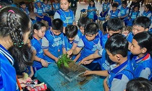 Mizuiku celebrates 10 years of water education for children