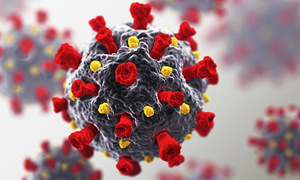 US faces potential Covid-19 surge amid CDC turmoil