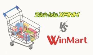 Winmart and Bach Hoa Xanh strive to eliminate billions in accumulated losses