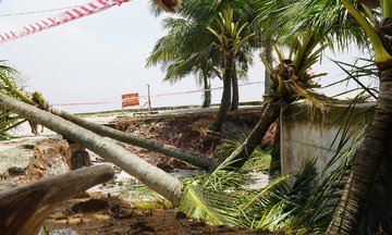 Hai Tien seawall cracks after Typhoon Kajiki