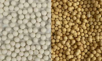 Students develop $20,000 peppermint oil beads to combat rice weevils