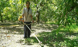 Aging farmers in the Mekong Delta face uncertain future