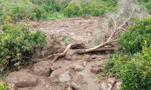 Landslide buries over 1,000 villagers in Sudan
