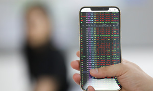 Stock market subdued after holiday