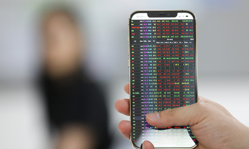 Stock market subdued after holiday