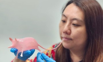 Hong Kong's sugar art 'wizards'