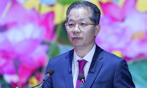 Da Nang party chief appointed standing deputy inspector general