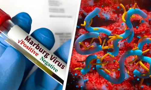 WHO issues urgent warning about 'bleeding eye' disease