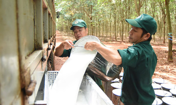 Vietnam rubber group posts record first-half profit