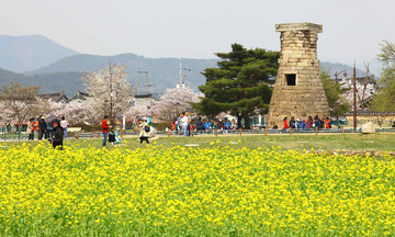 Vietnam ranks second in Southeast Asia for visitors to South Korea