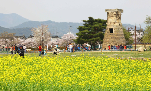 Vietnam ranks second in Southeast Asia for visitors to South Korea