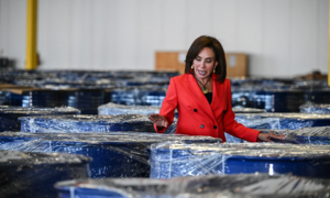 Record drug precursor seizure in the US