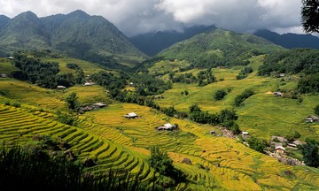 48 hours in Sa Pa's golden rice season