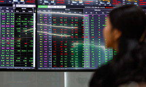 Why the rapid rise and sudden fall of the stock market?