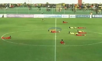 Bee swarm halts Tanzanian soccer match