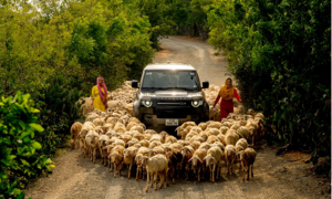 Nearly 80 years of the Land Rover Defender