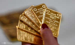 Gold bar prices surpass 135 million VND
