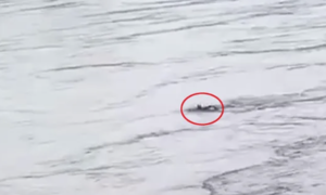 Teen swept away in river after accepting friend's challenge