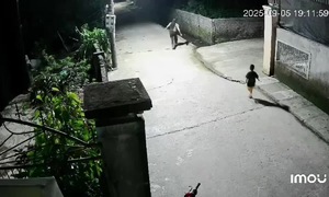 4-year-old saves his brother from drowning