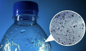 Should you drink water from plastic bottles left in hot cars?