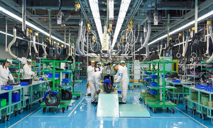 Over 200,000 businesses enter the Vietnamese market in eight months