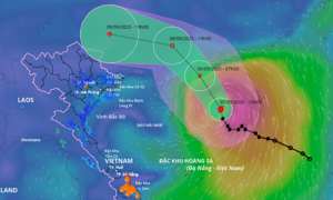 Typhoon Tapah to bring heavy rain to northern Vietnam