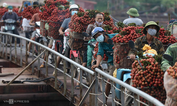 Lychee exports triple in value