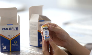 Vietnam exports second batch of African swine fever vaccine to the Philippines